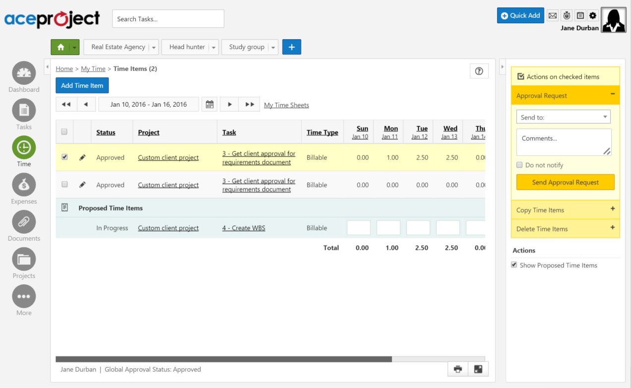 AceProject timesheet tracking app